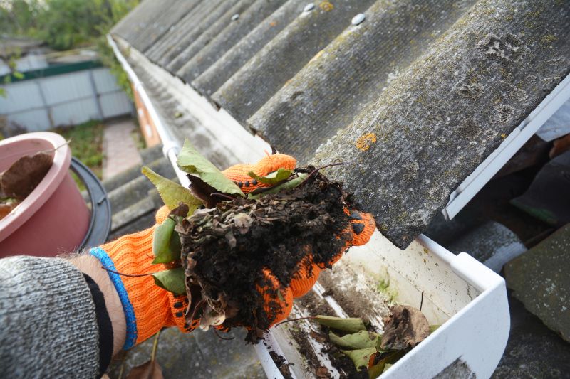 Gutter Pine Needle Removal in Monmouth County, NJ